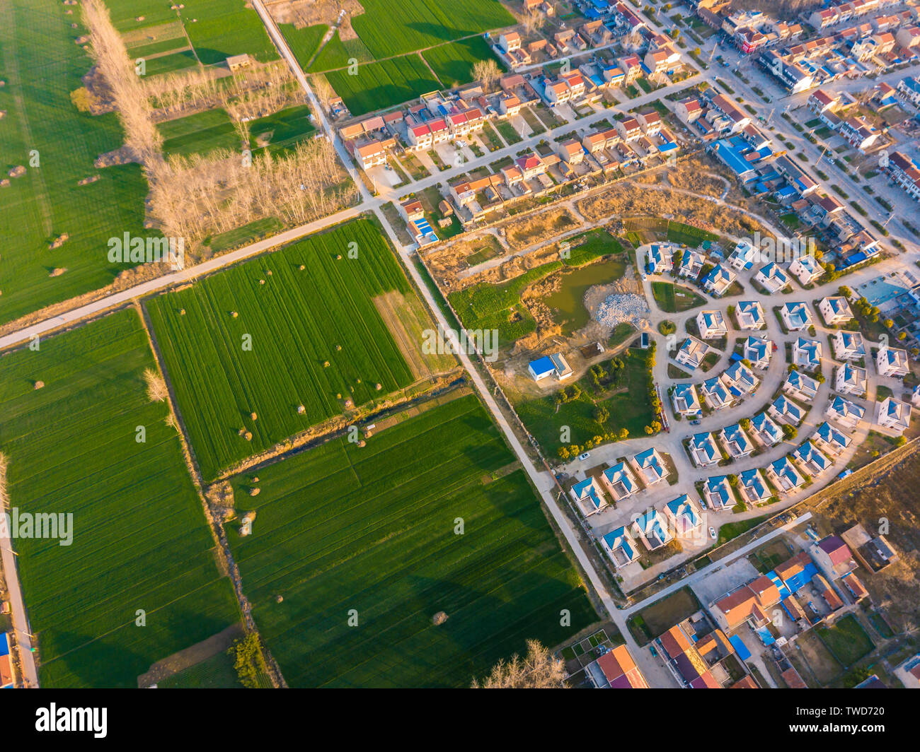 In Hongze District, Ningbo City, Provinz Jiangsu fotografiert. Stockfoto