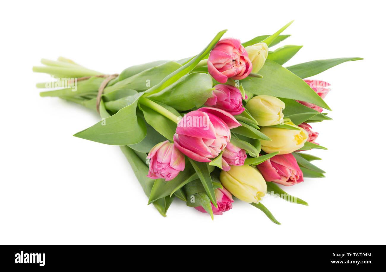 Schöne Tulpen Blumenstrauß als Geschenk auf weißem Hintergrund Stockfoto