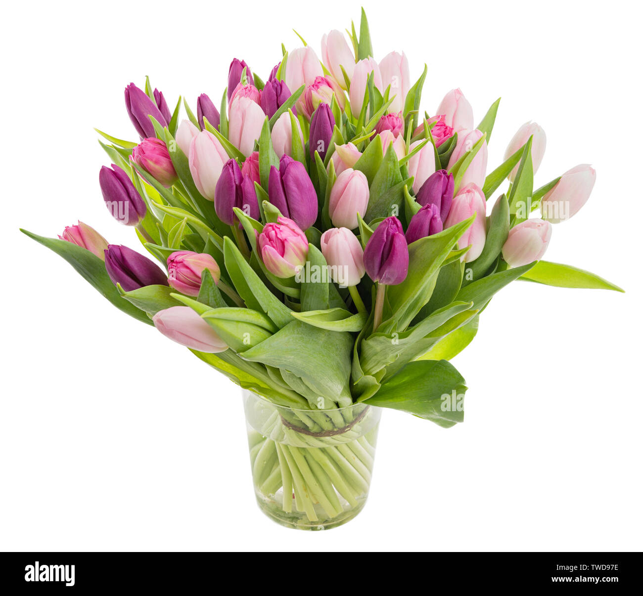 Große Haufen Schöne Tulpe Blumen in einer Glasvase auf weißem Hintergrund Stockfoto