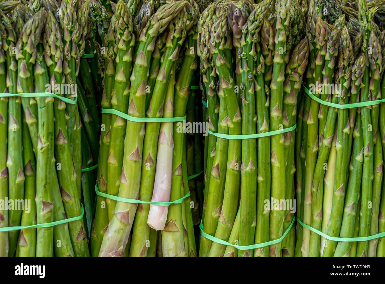 Nahaufnahme Muster von vier Trauben os grüner Spargel Stockfoto