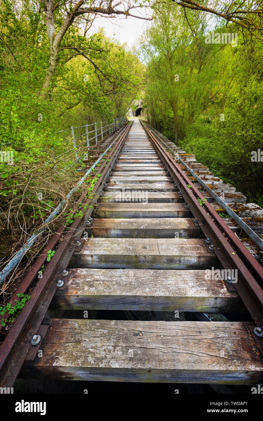 Abgebrochene Eisenbahnbrücke von einer üppigen Vegetation umgeben ist. Stockfoto