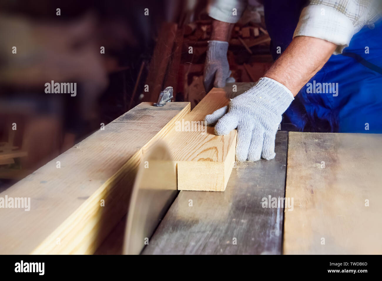 Tischler arbeiten an Holzbearbeitungsmaschinen in der Schreinerei. Ein Mann arbeitet mit einem Baum Stockfoto
