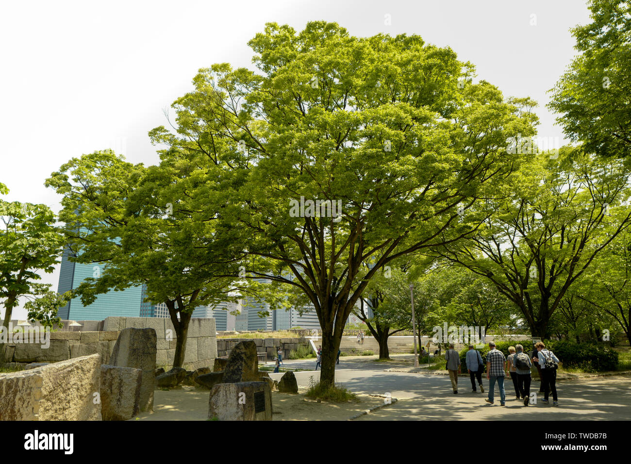 Osaka, Japan, 29., Mai, 2017. Die Osaka Castle Park. Osaka Castle ist eines der bekanntesten Wahrzeichen Japans. Stockfoto