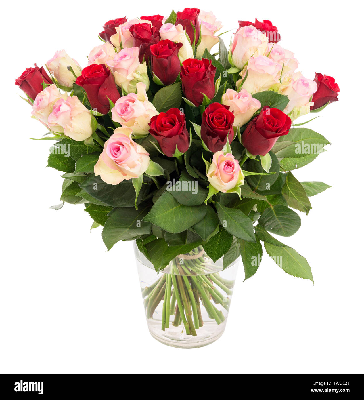 Bündel von frischen schönen roten und rosa Rosen in einer Glasvase auf weißem Hintergrund Stockfoto