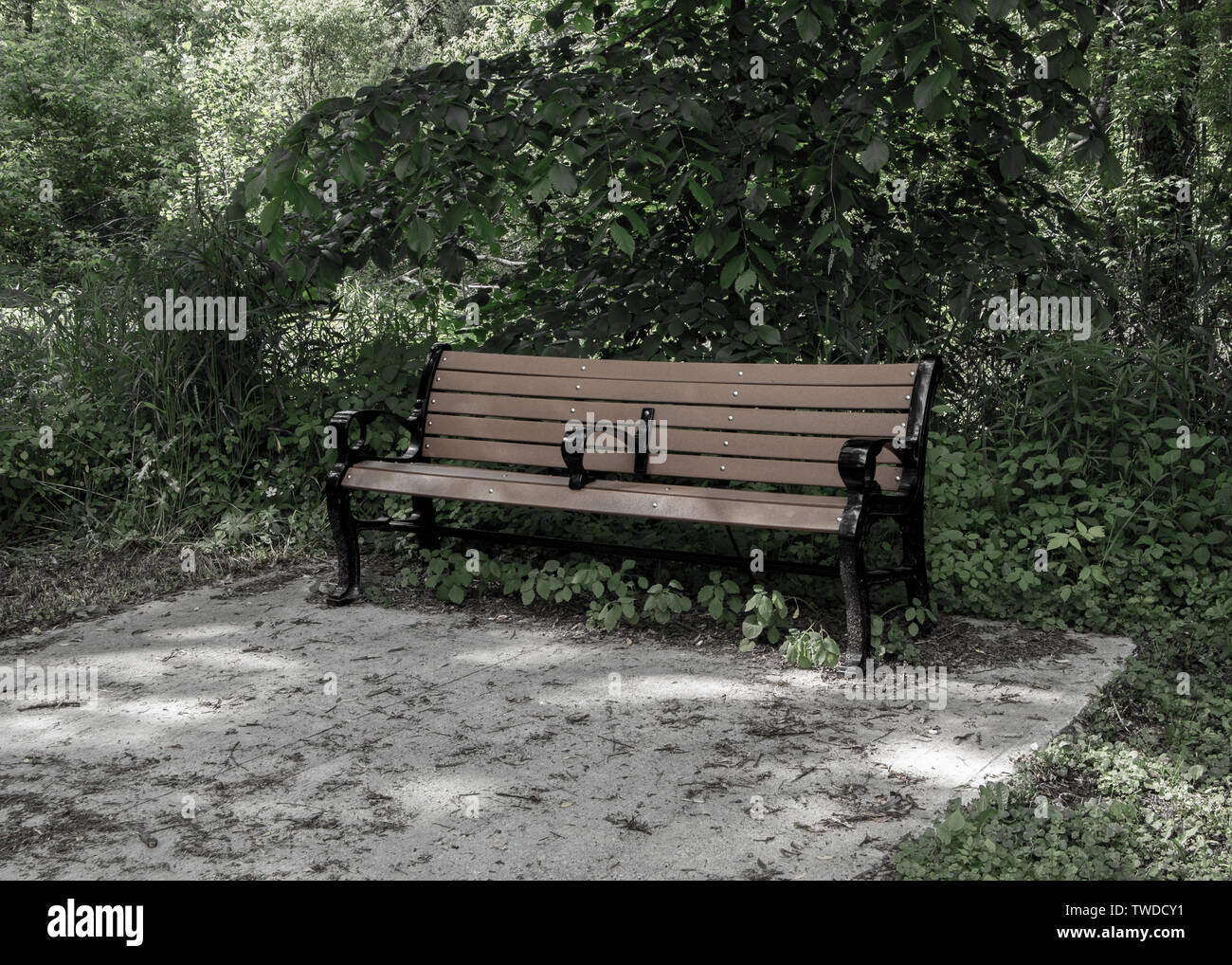 Sitzbank am Park - verblasste Farben Stockfoto