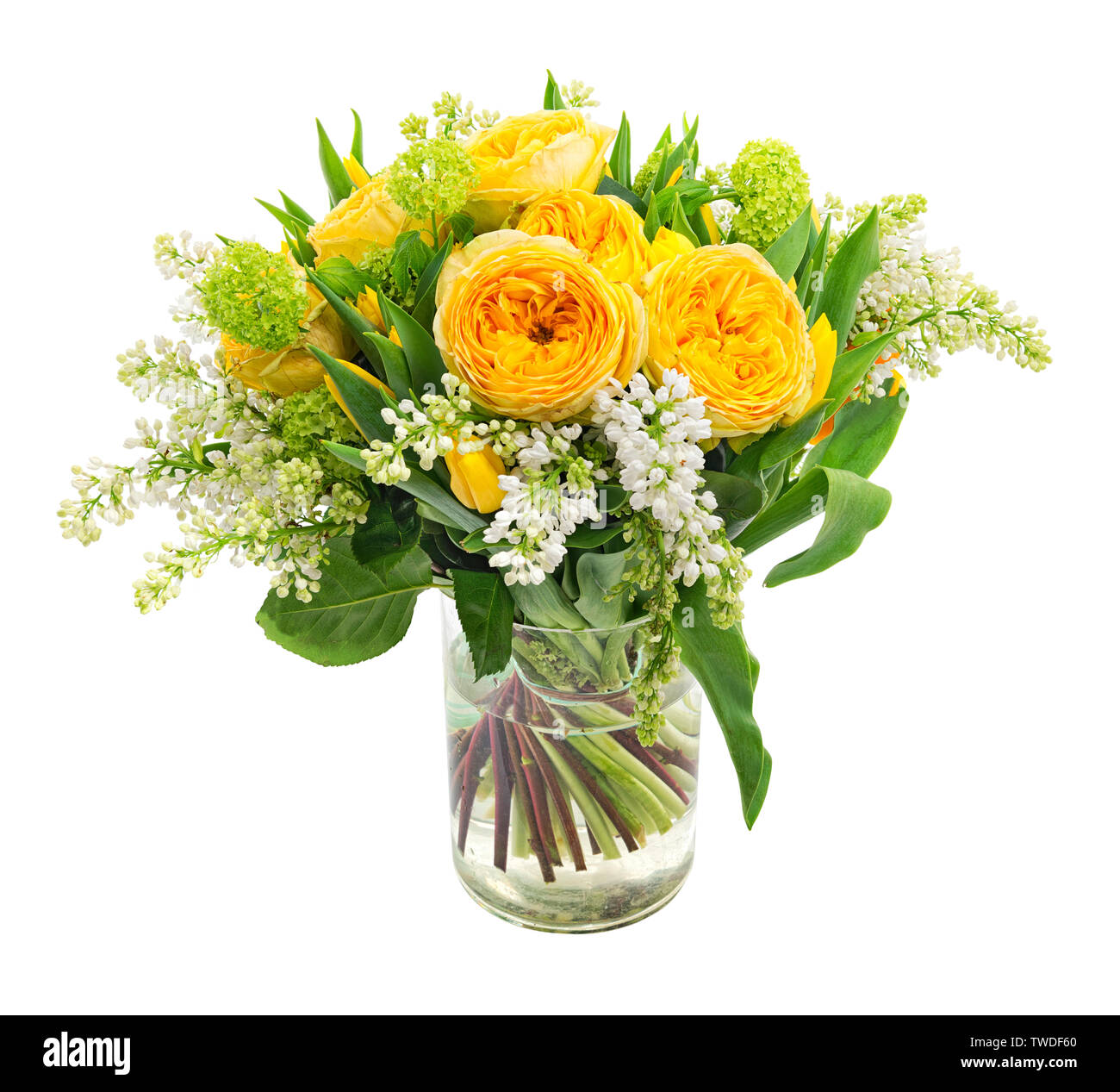Schöner Frühling Blumenstrauß aus Tulpen und buttercup Blumen auf weißem Hintergrund Stockfoto