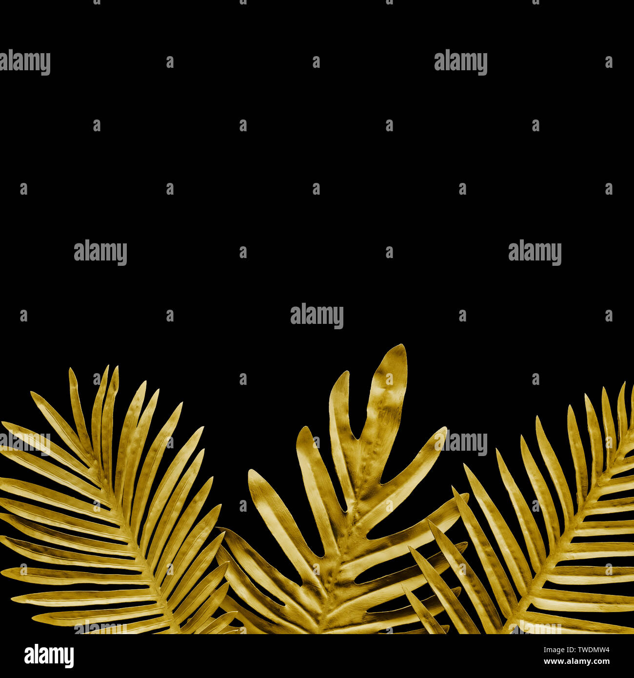 Sammlung von tropischen Blätter, Laub Anlage in Gold auf Schwarz raum Hintergrund. Abstrakte leaf Dekoration Design. Exotische Natur, das für die Vorlage Stockfoto