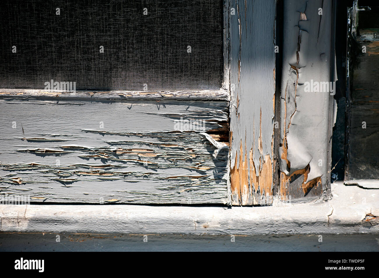 Trocken-verrottete Fensterflügel Stockfoto