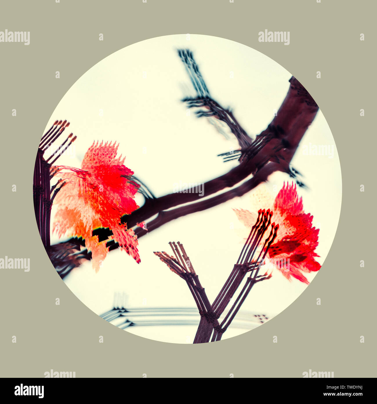 Herbst Reim, Malerei entleeren Red Leaf schießen, frühe Verfälschung und Mehrfachbelichtung schießen später Grenze Verarbeitung ins Chinesische Malerei Landschaft hinzufügen Stockfoto
