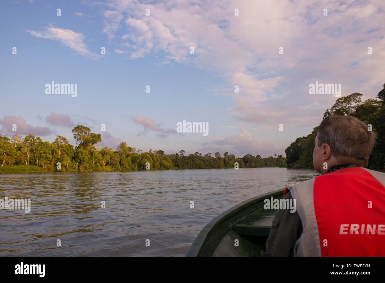 Touristen auf einer Bootsfahrt auf dem Fluss Kinabatangan, Sabah, Borneo, Malaysia. Stockfoto