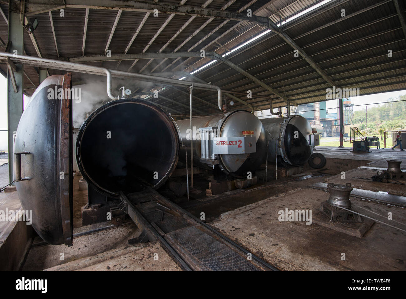 Palmöl Verarbeitungsbetrieb, in der Nähe von Tawau, Sabah, Borneo, Malaysia. Stockfoto