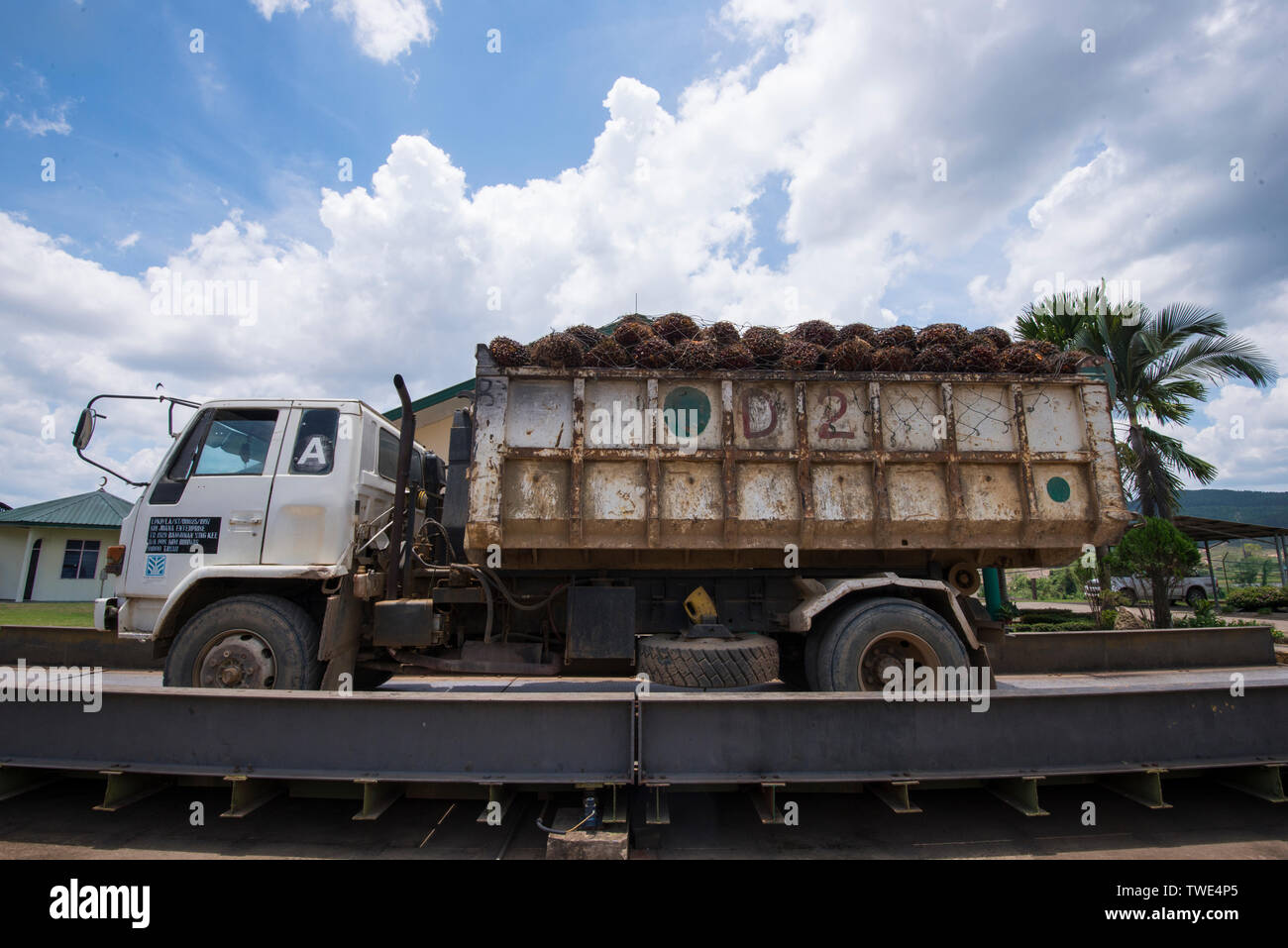 Palmöl Verarbeitungsbetrieb, in der Nähe von Tawau, Sabah, Borneo, Malaysia. Stockfoto