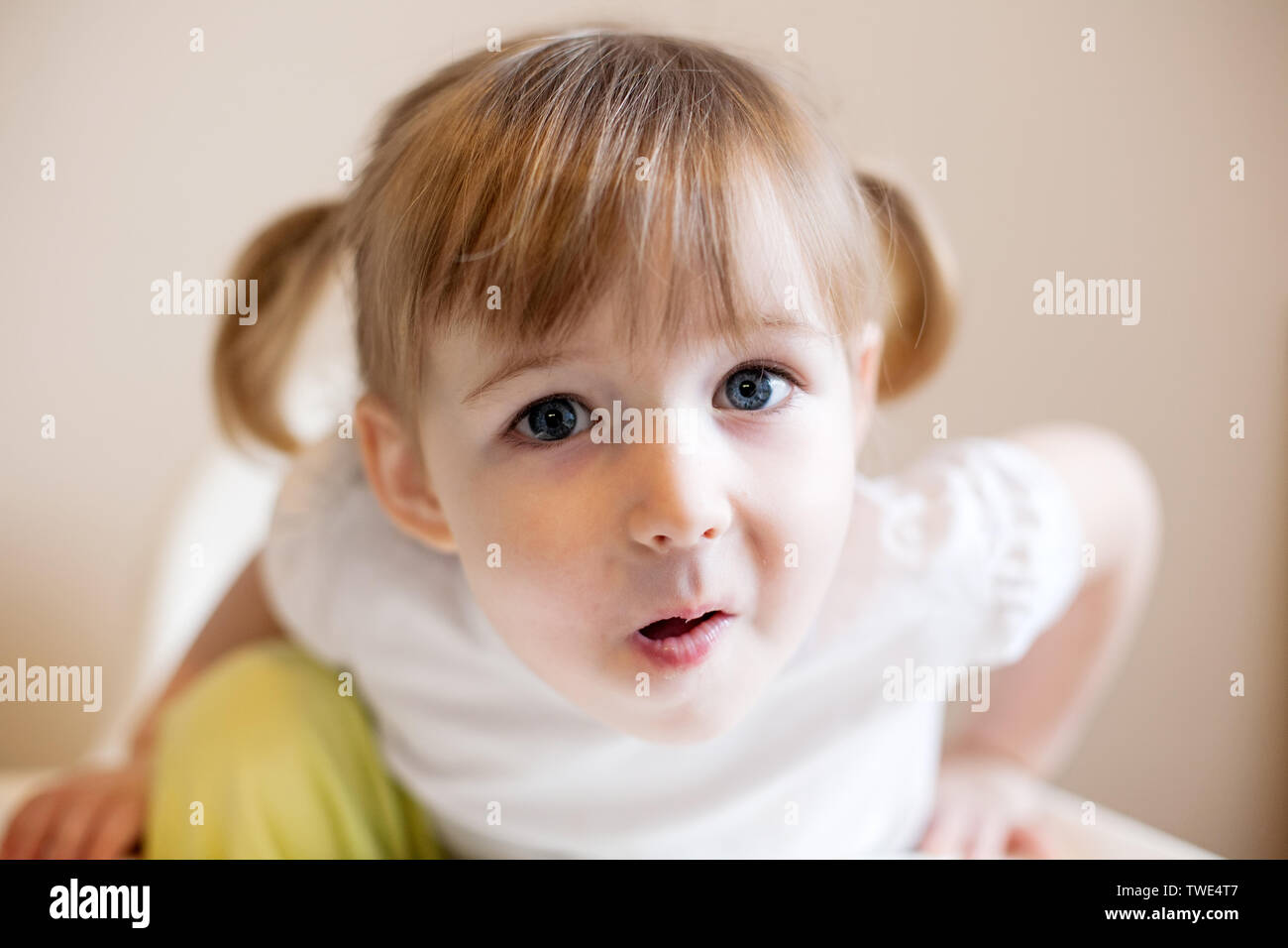 Lustige zwei Jahre alte Mädchen mit zwei niedlichen Zöpfen, Quiff und offenen Mund Stockfoto