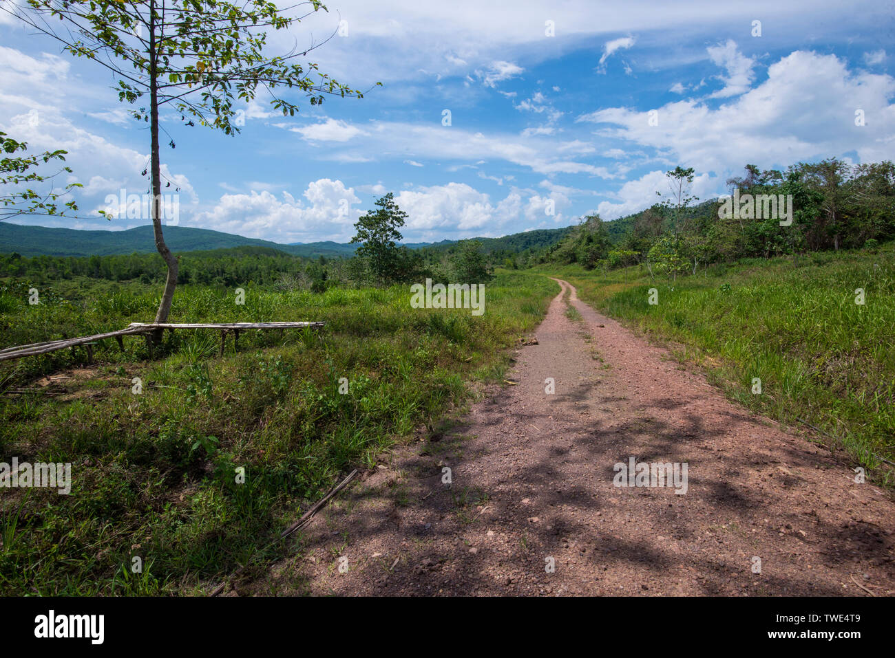 Wildlife Corridor in einer Ölpalm-plantage, nahe Tawau, Sabah, Borneo, Malaysia. Stockfoto
