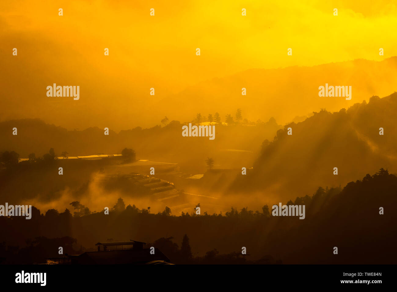 Cameron Highland bei Sonnenaufgang Stockfoto