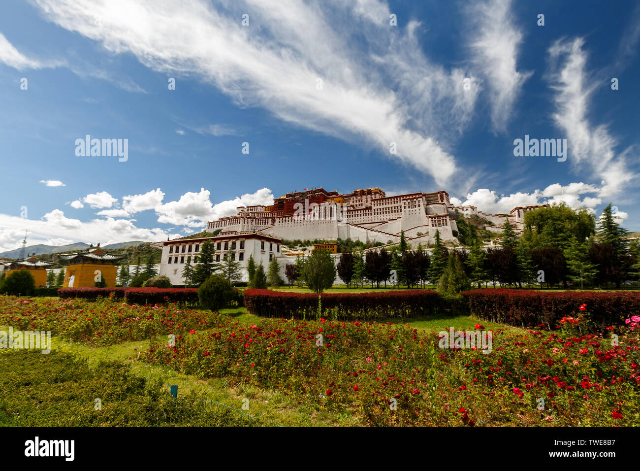 Blick auf den Potala Palast mit Bäumen und Blumen im Vordergrund. Zentrum des tibetischen Buddhismus und UNESCO-Weltkulturerbe. Heiligen und heiligen Ort. Stockfoto