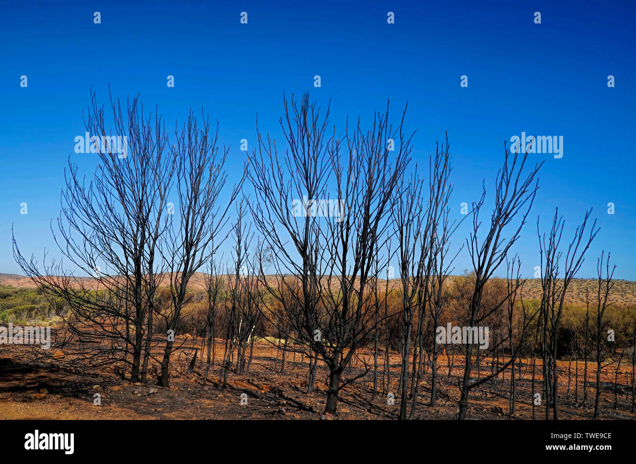 Die MacDonnell Ranges, einer Bergkette, die in der nördlichen Gebiet befindet sich der Bereich ist eine lange Reihe von Bergen im Zentrum von Australien, Konsi Stockfoto