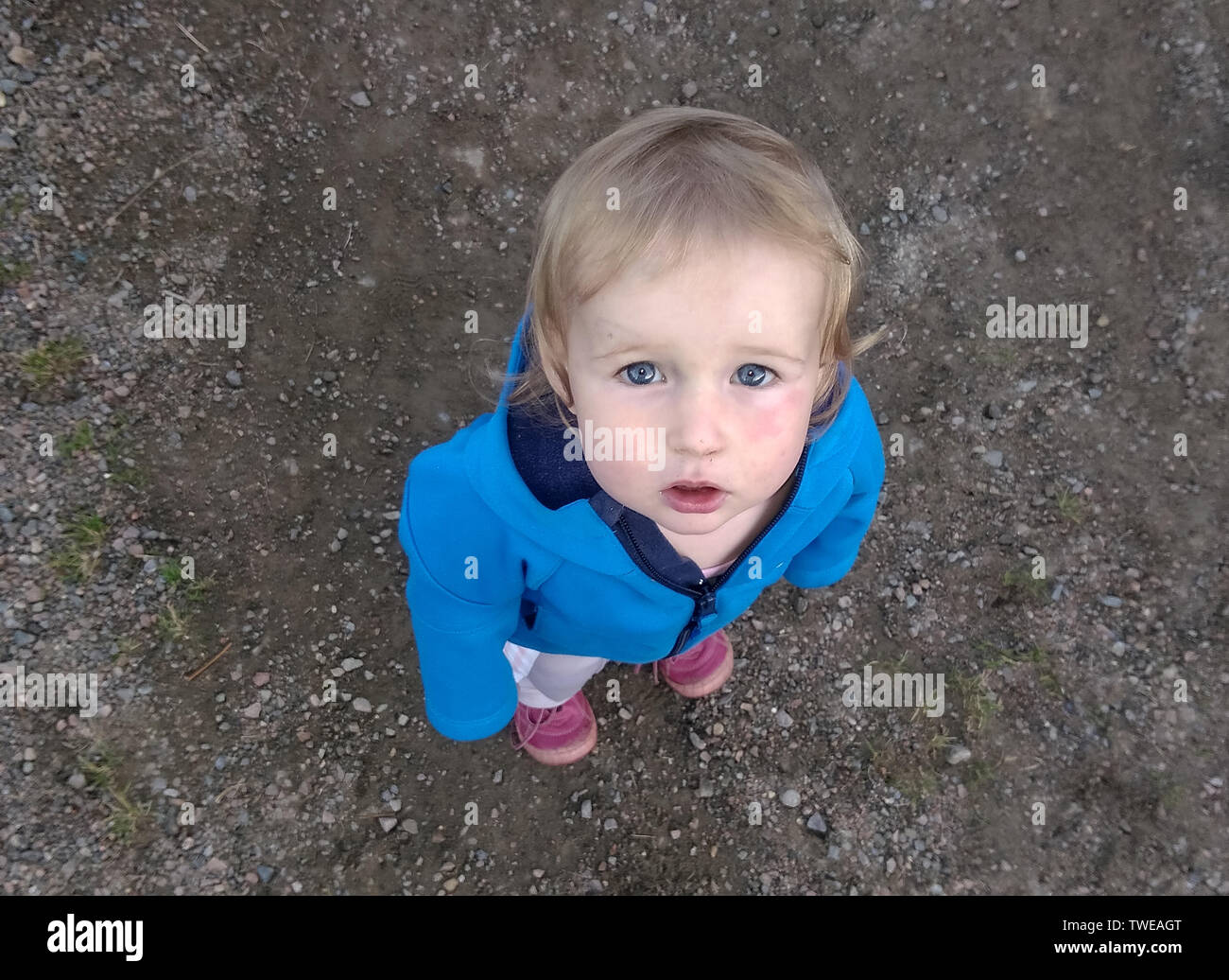 Kleines Kind stehen und die Suche nach Ansicht von oben Stockfoto