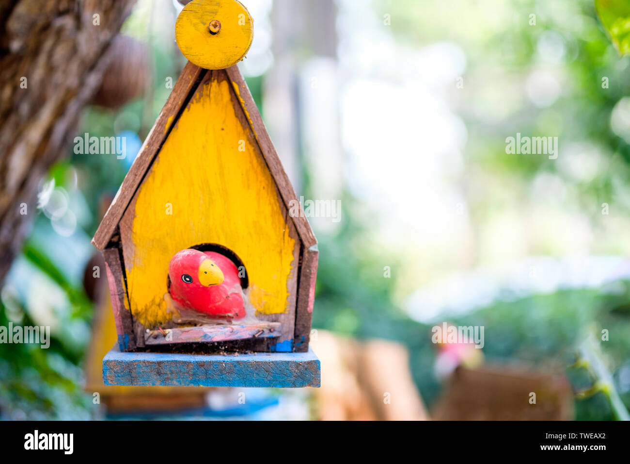 Gelb Holz nest Vogel mit roter Vogel Handwerk hängen an verschwommenen Hintergrund Stockfoto