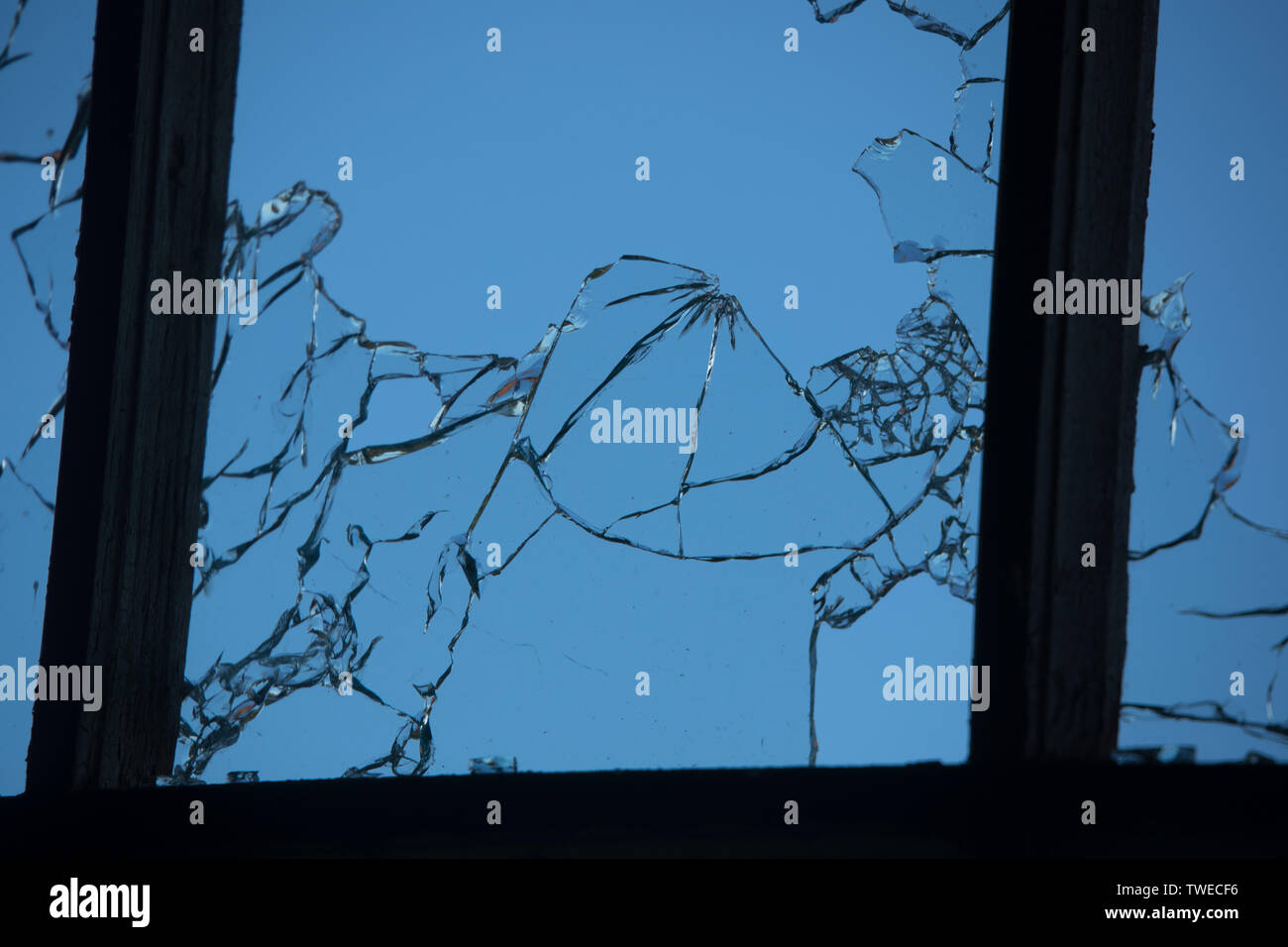 Risse und gebrochene Fenster Glas von einer Pistolenkugel gelocht Stockfoto
