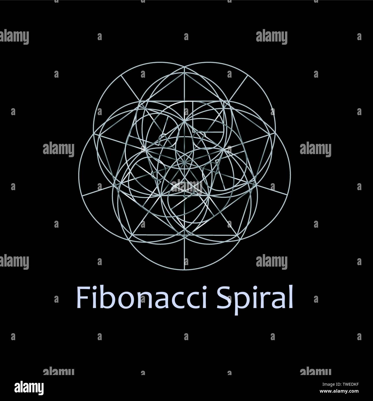 Fibonacci Spirale - Die heilige Geometrie Stock-Vektorgrafik - Alamy