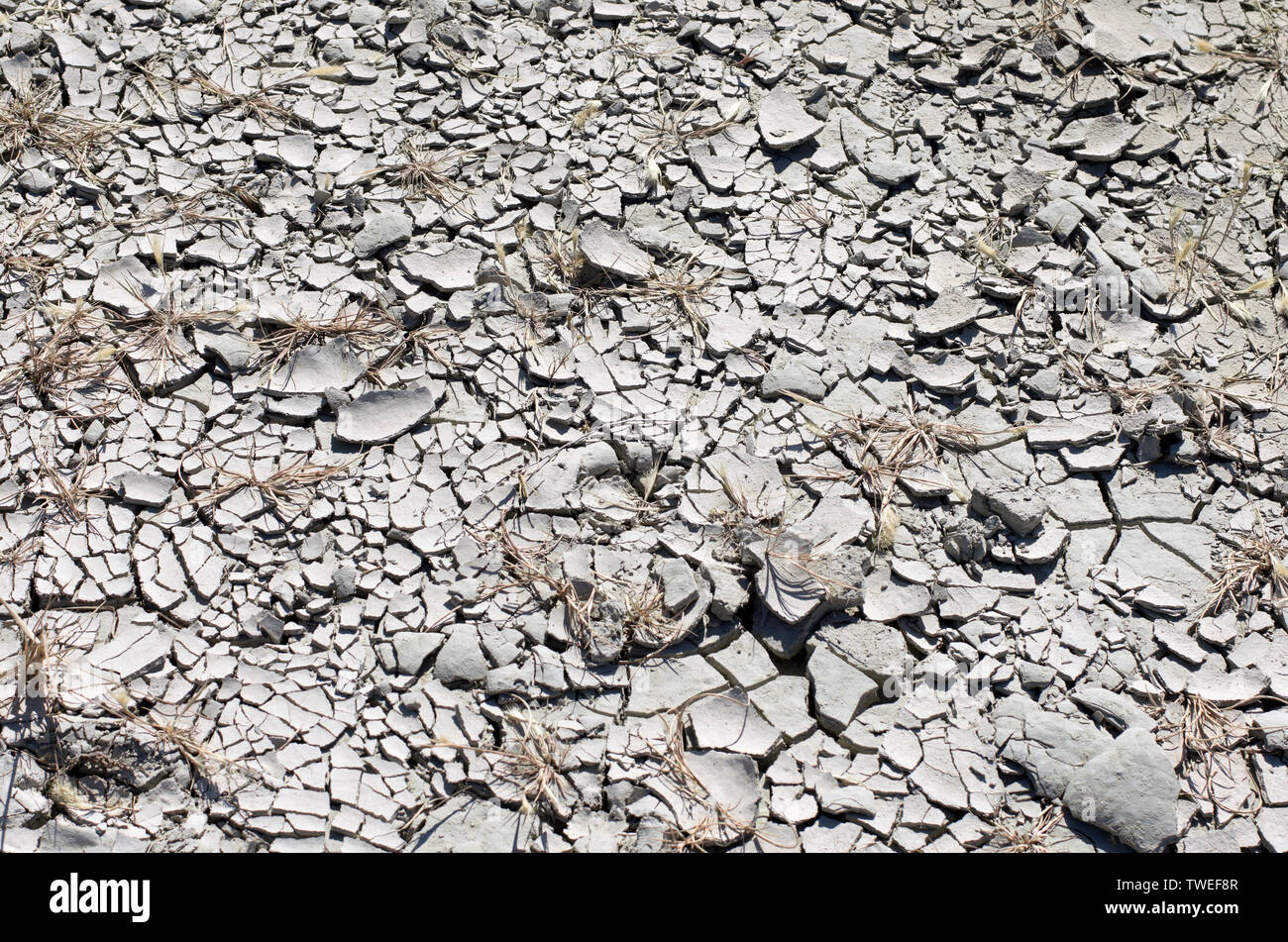 Gebleichte chemische geschichteten Boden in Rissen mit getrockneten Pflanzen in sonnigen Sommertag Stockfoto