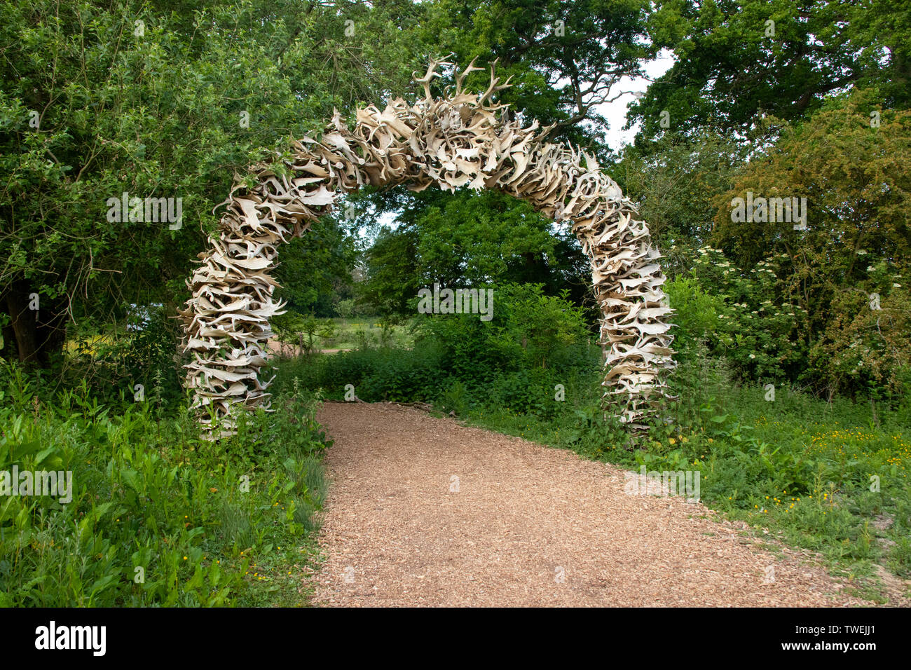 Geweih arch an Knepp Wildland Stockfoto