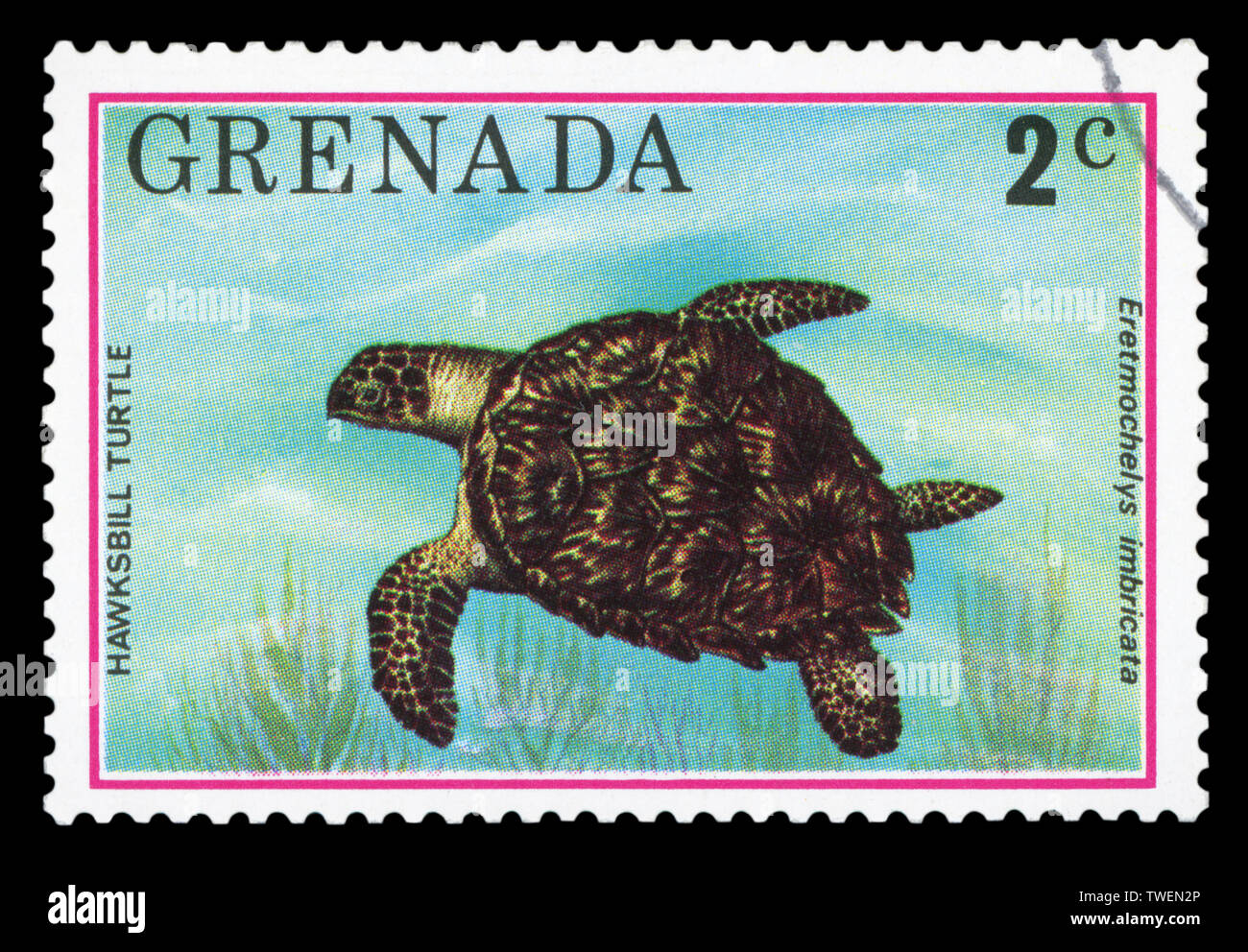 GRENADA - ca. 1976: einen Stempel in Grenada gedruckt zeigt Hawksbill Schildkröte - Eretmochelys imbricata, circa 1976. Stockfoto