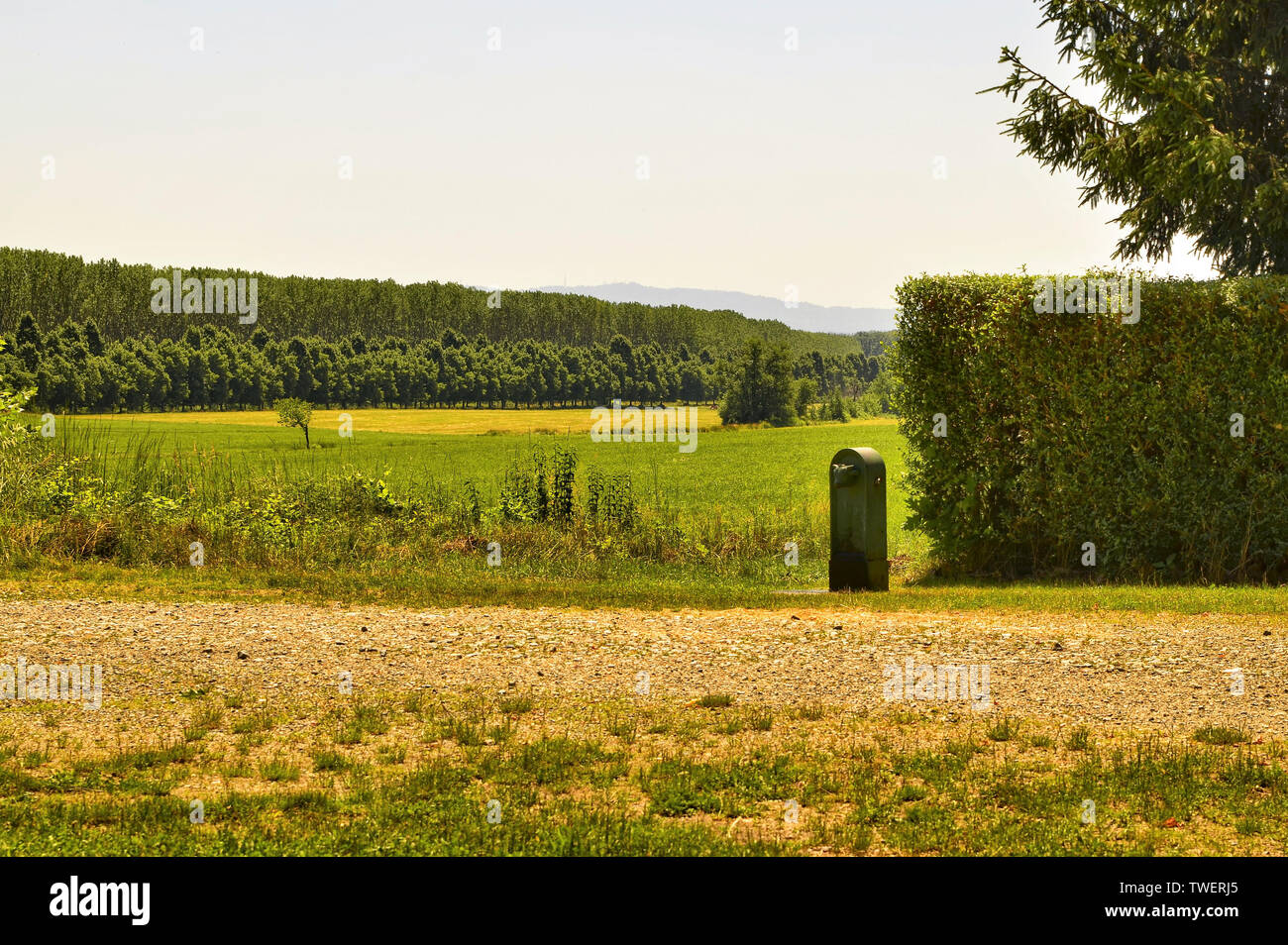 Venaria, Piemont, Italien, Juni 2019. Bei den regionalen Park "La Mandria "Peppinella Bauernhaus. Eine typische Trinkbrunnen von Turin: Die grüne Stier. Stockfoto