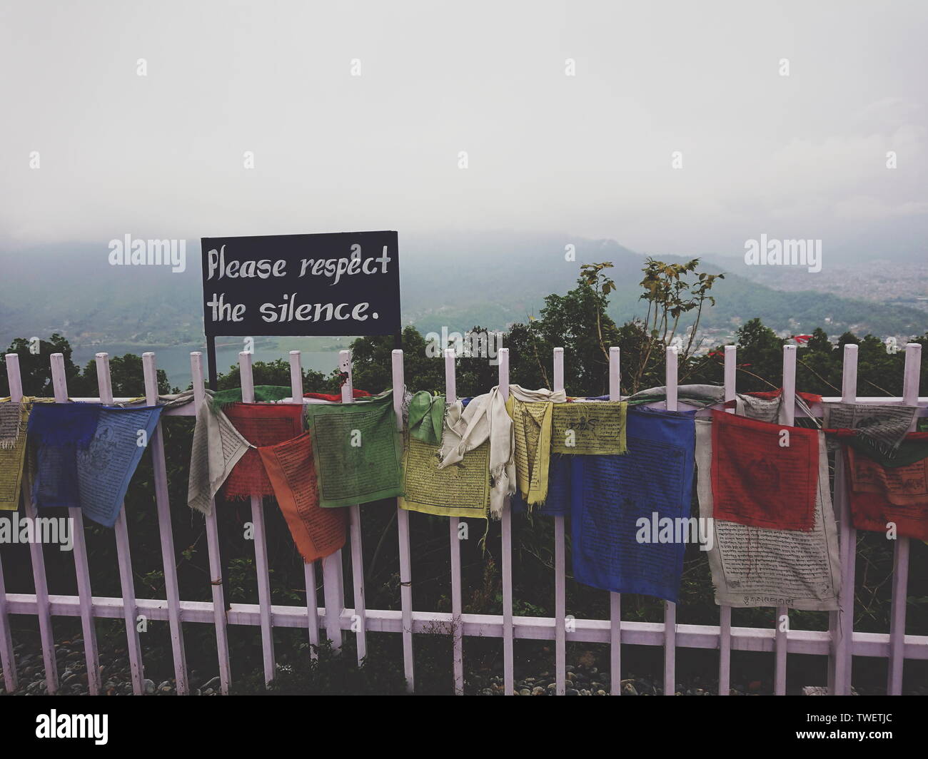 Fox's Weg zur Fotografie. Stockfoto