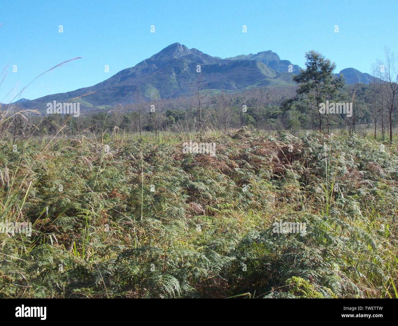 George Peak, Outeniqua Mountains Stockfoto