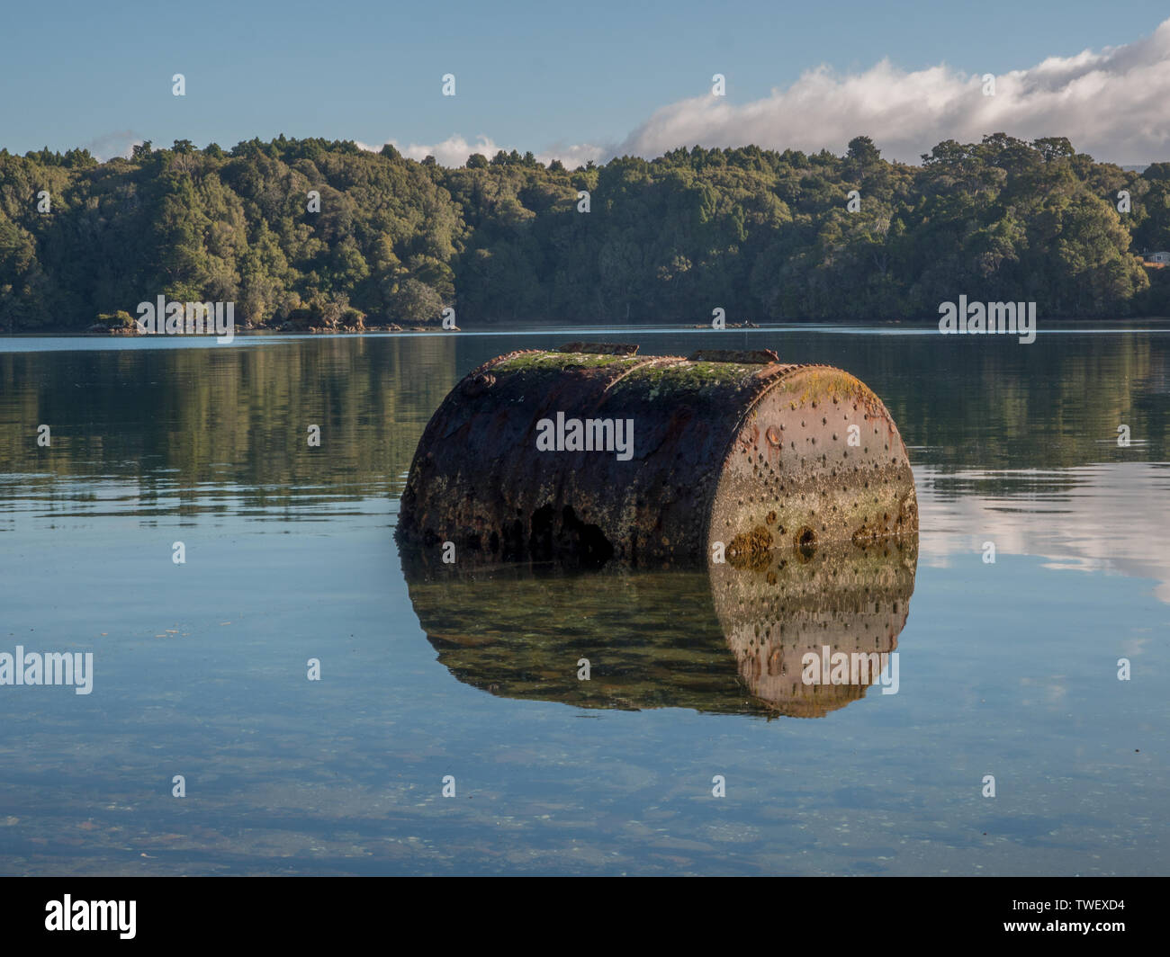 Abgebrochener Dampfkessel, halb unter Wasser, im klaren Wasser reflektiert, Walfänger, Paterson Inlet, Rakiura Stewart Island, Neuseeland Stockfoto