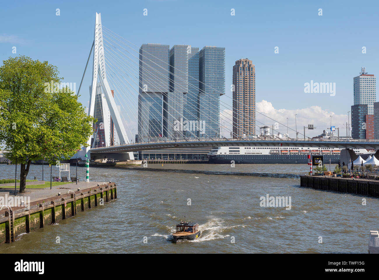 Rotterdam, Niederlande - 11. Mai 2019: Blick auf die Skyline von der Neuen Maas Grenzen mit Erasmus Brücke und De Rotterdam Gebäude im Hintergrund an einem klaren Tag Stockfoto