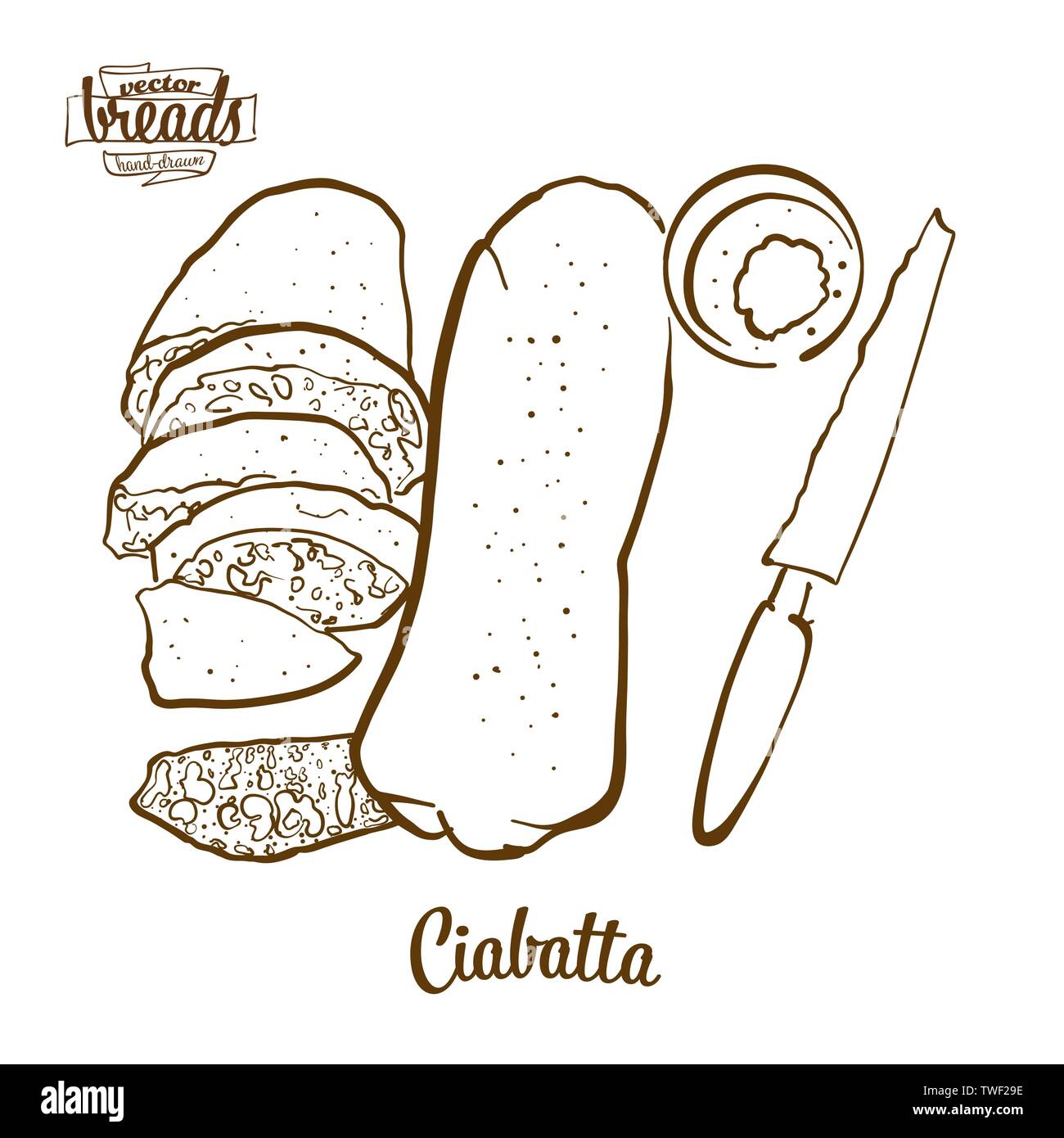 Ciabatta Brot vektor Zeichnung. Essen Skizze der Weißen, die in der Regel in Italien bekannt. Bäckerei Abbildung Serie. Stock Vektor