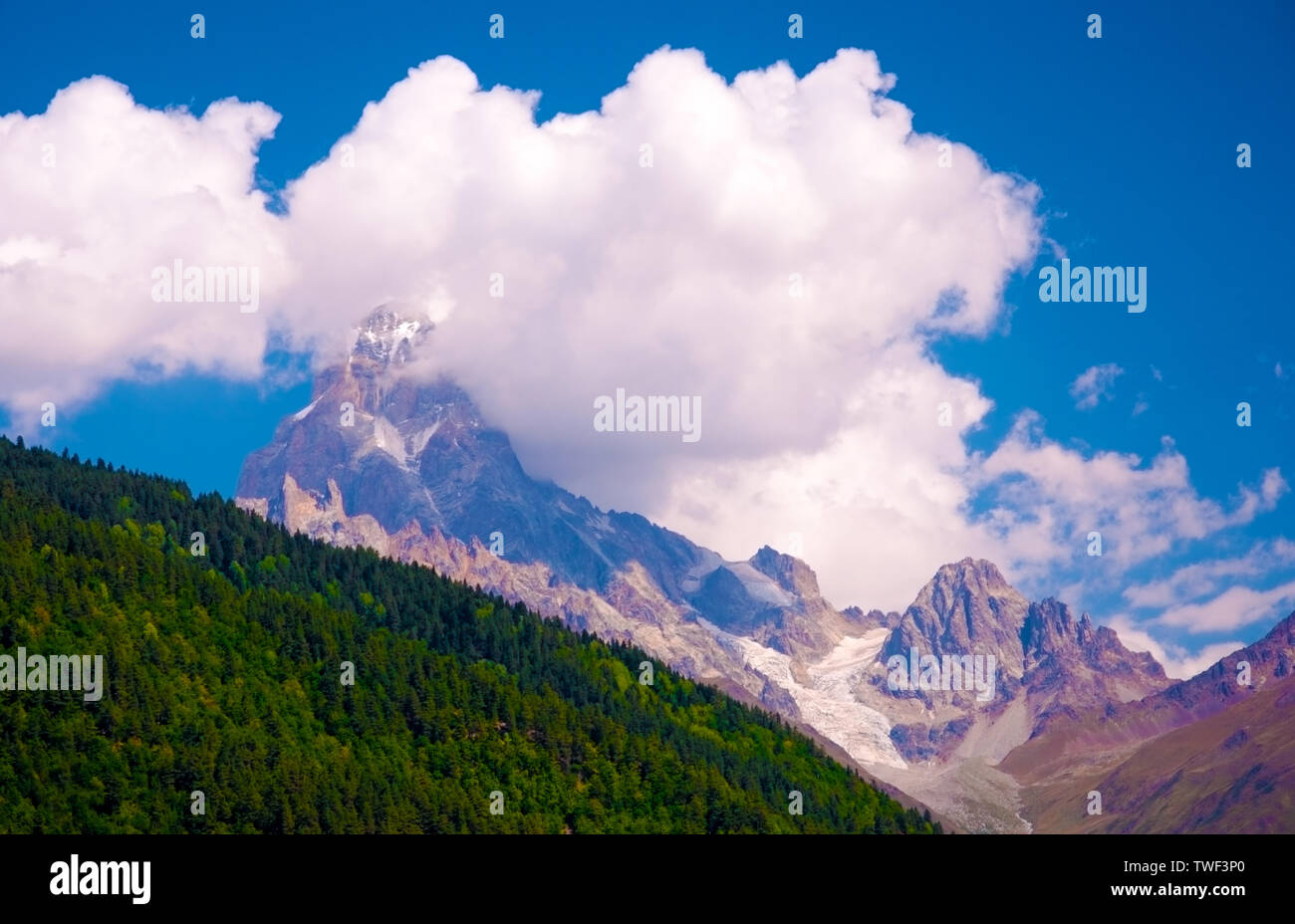 Grün und schneebedeckte Berge, Wolken und Gletscher in Georgien. Berg Landschaft auf sonnigen Sommertag. Helle Herbst Tag in swanetien. Stockfoto