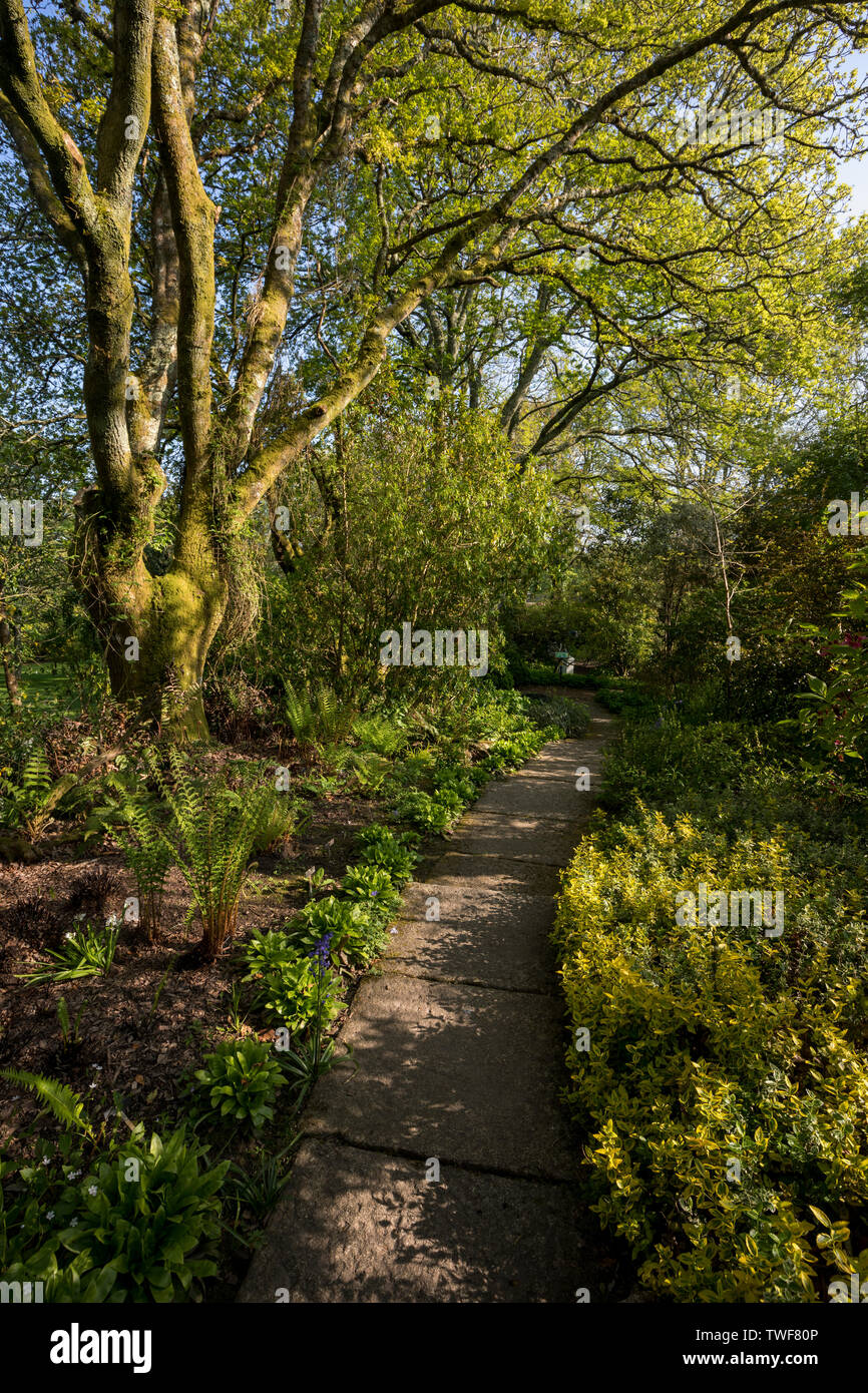 Pinetum Garten; Cornwall, UK Stockfoto