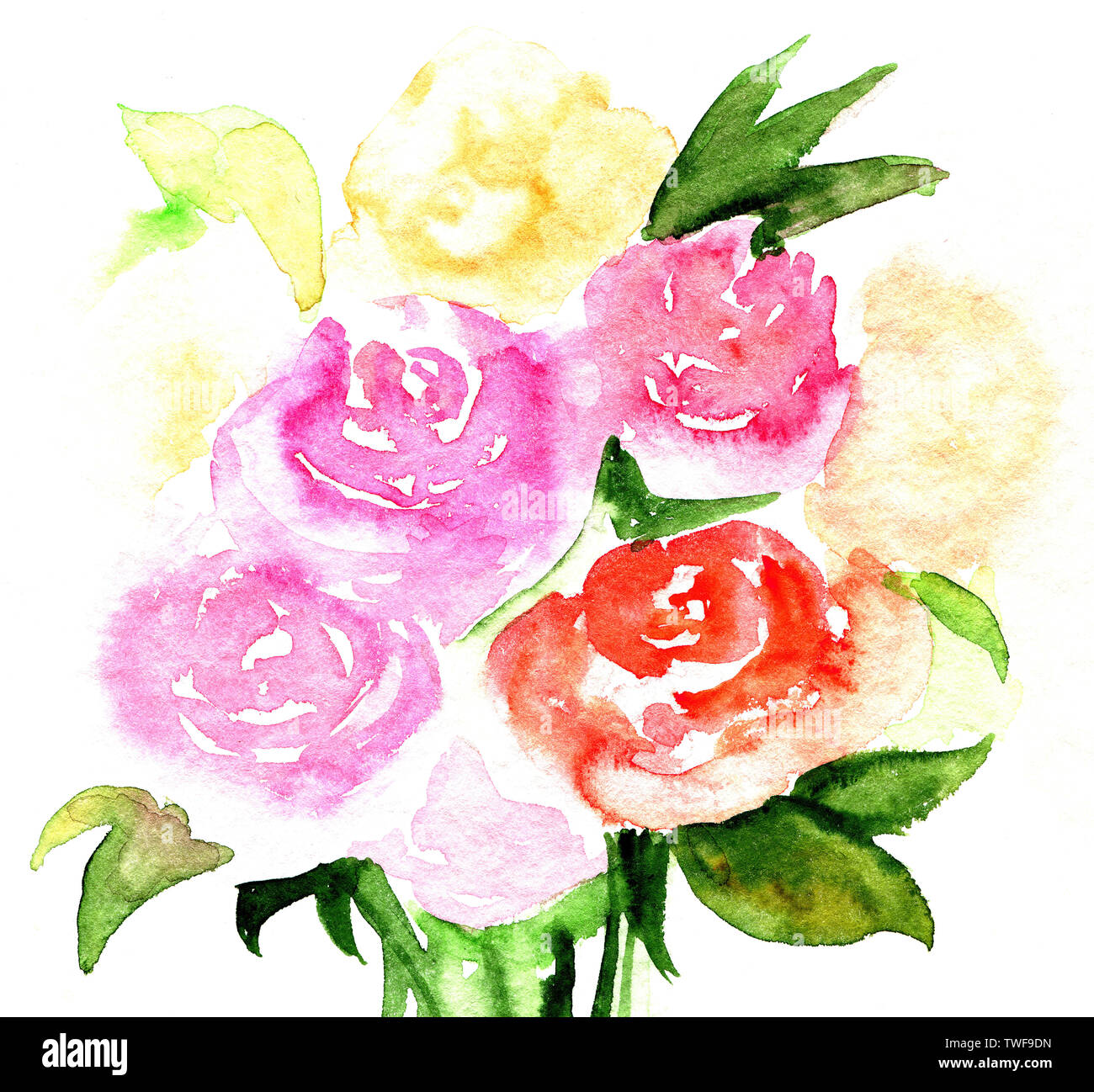 Handgezeichnete Aquarell-Illustration von Rosen. Bouquet von rosa und roten Blumen isoliert auf weißem Hintergrund. Aquarell abstrakte Rosen. Stockfoto