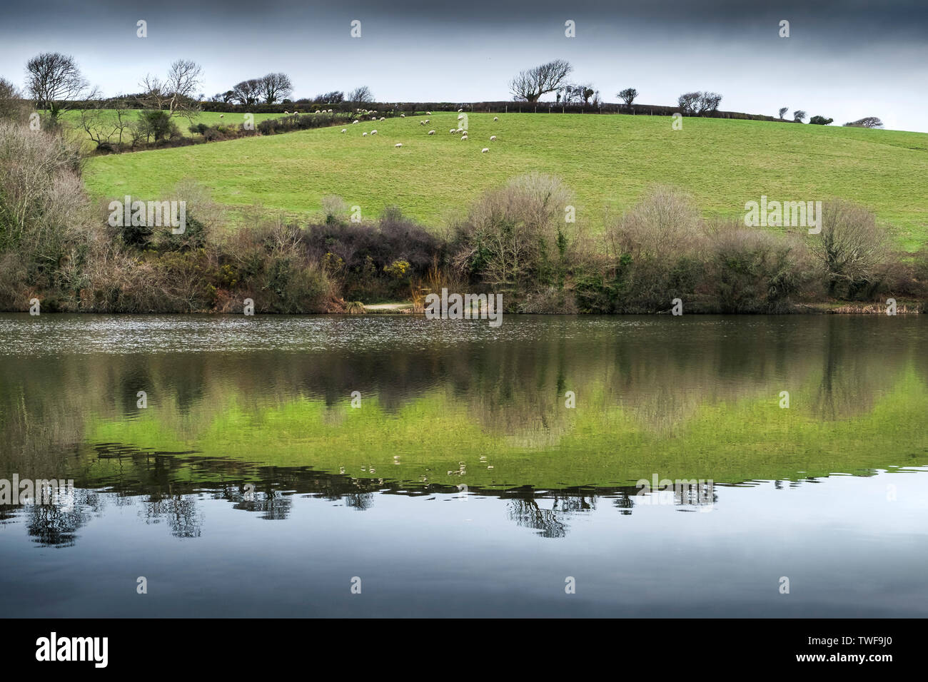 Reflexion in der immer noch Wasser in Porth Reservoir in Cornwall. Stockfoto