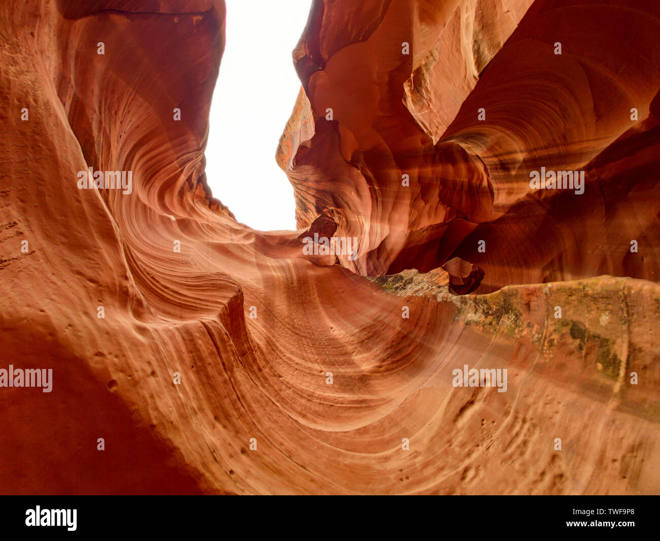 Antelope Canyon, Arizona, Vereinigte Staaten von Amerika. Sandsteinformationen, rot-braune Farbe, bis in den Himmel suchen Stockfoto