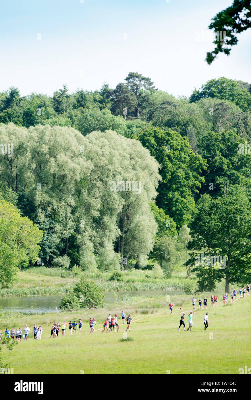 Läufer an Chris Evan's Run Fest laufen bei Bowood Haus in der Nähe von Chippenham GROSSBRITANNIEN Stockfoto