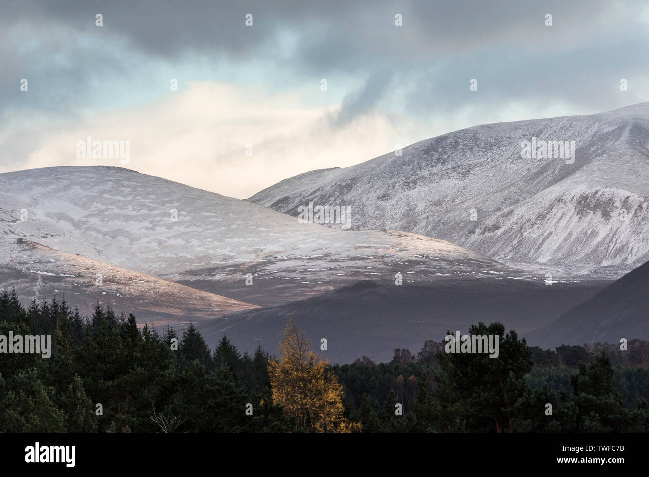 Cairngorms und Lairig Ghru in den Highlands von Schottland. Stockfoto