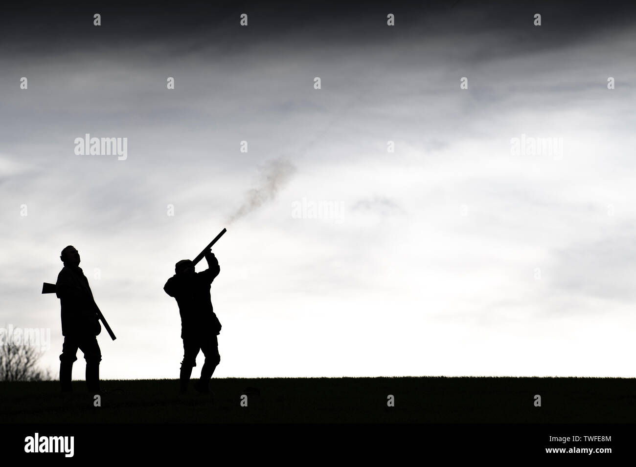 Fasan und Rebhuhn schießen im Herbst Landschaft mit Gewehr Hunde. Stockfoto