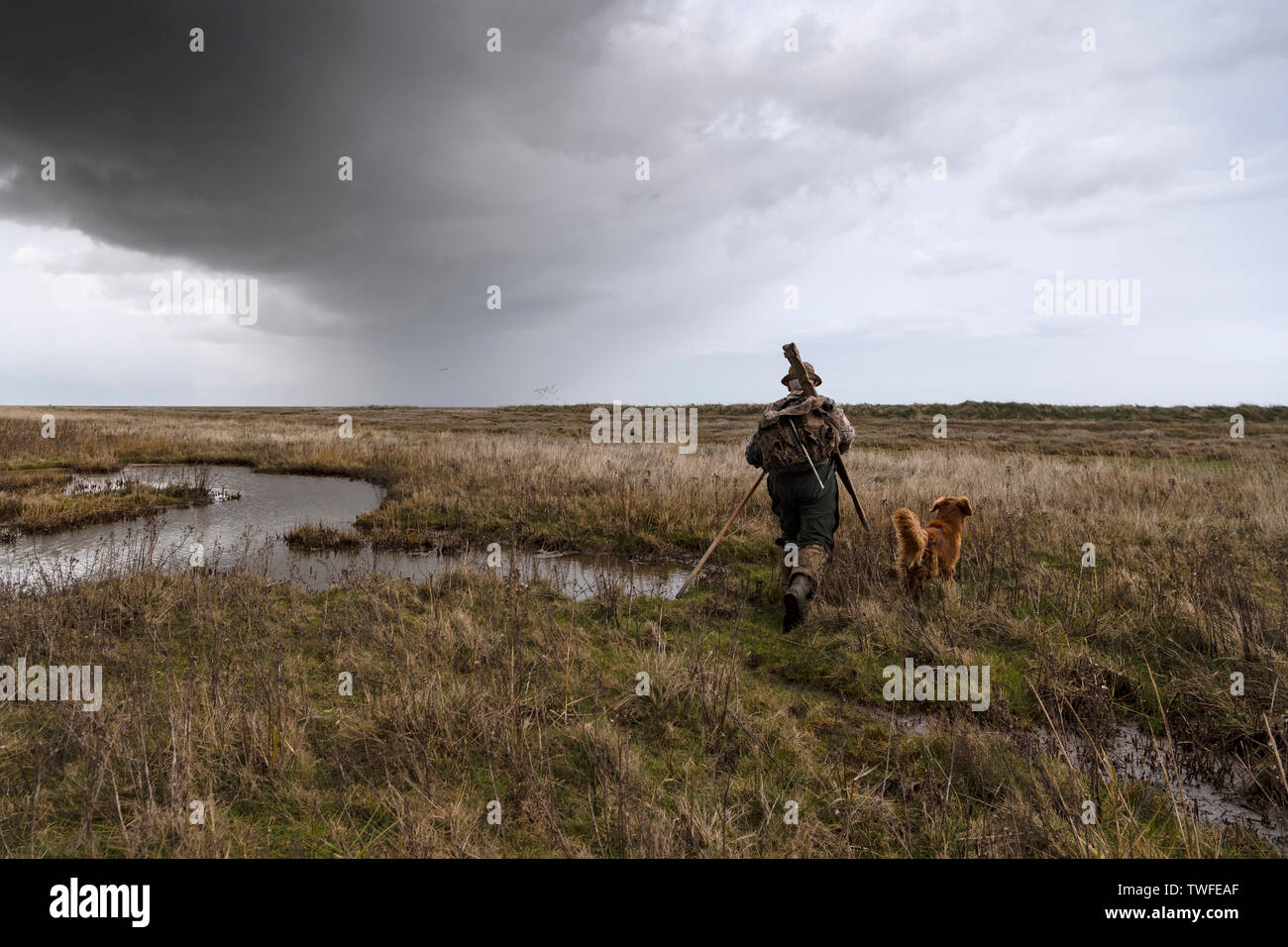 Wildfowling auf der Lincolnshire Waschen mit Shooter und gundog zu Fuß durch die Sümpfe mit Sturm, Wolken und Regen. Stockfoto
