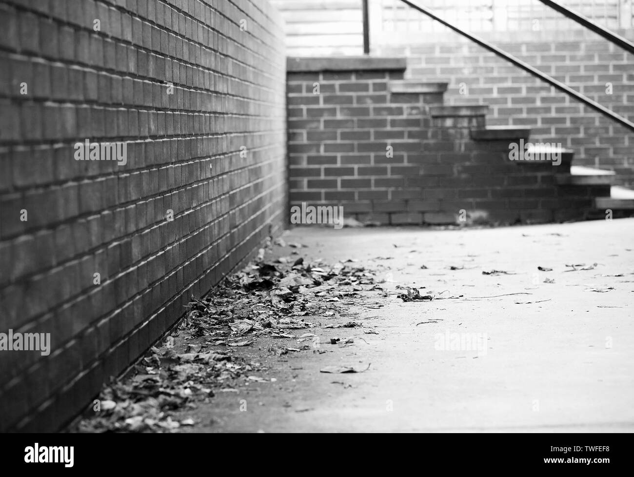 Schwarze und weiße Straße Szene einer gemauerten Ecke weg mit trockenen Blätter im Herbst. Tiefe Perspektive mit Wänden und Beton. Schritte Treppenhaus im Hintergrund. Stockfoto