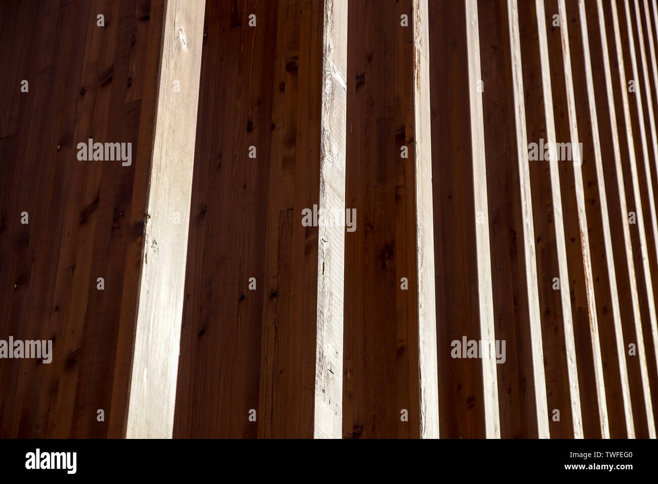Nahaufnahme der natürlichen Holzstruktur. Detail in Holz Stockfoto