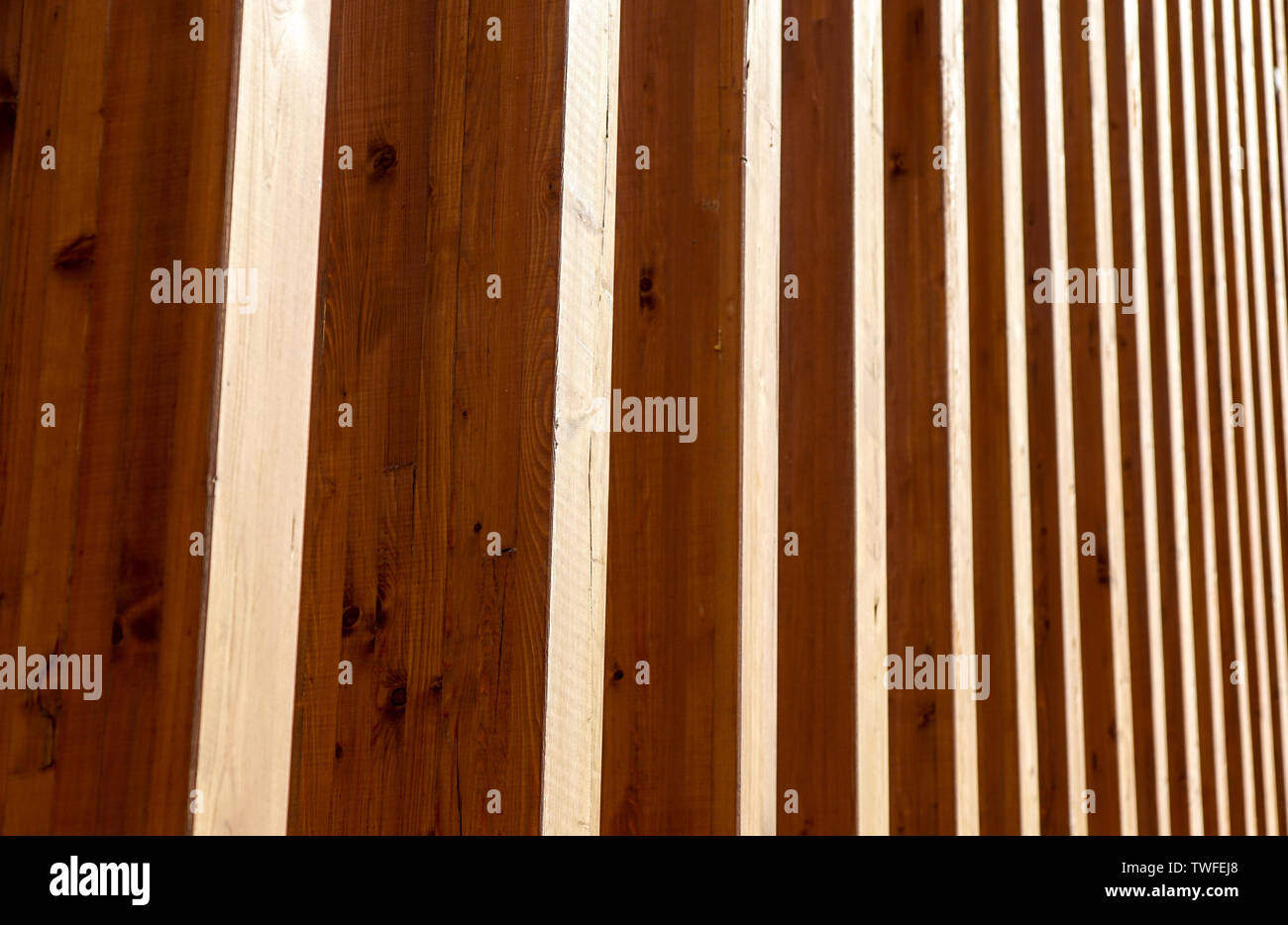 Nahaufnahme der natürlichen Holzstruktur. Detail in Holz Stockfoto