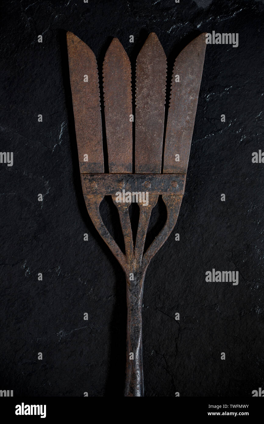 Eine alte Metall Aal Speer, einmal für die Erfassung der Aale verwendet wurde. Dies ist wahrscheinlich ein Britisches. Den Speer würde auf einer langen Stange platziert werden und Schub in Stockfoto