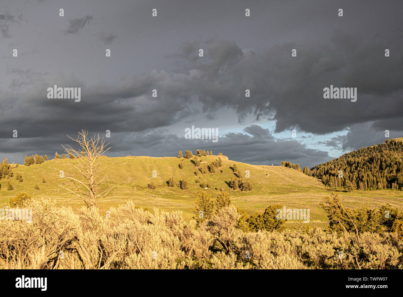Wyoming wetter Fotos und Bildmaterial in hoher Auflösung Alamy