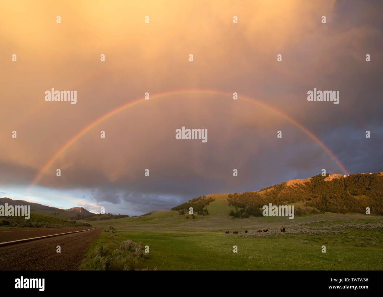Regenbogen über dem Lamar Valley, Yellowstone, Wyoming, USA Stockfoto