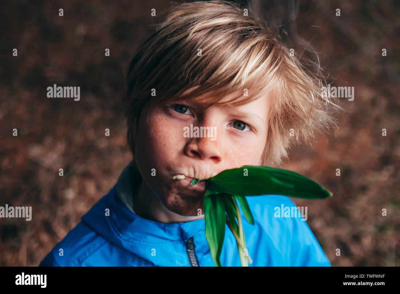 Porträt eines Jungen, der im Wald essen frische Rampe, United States Stockfoto